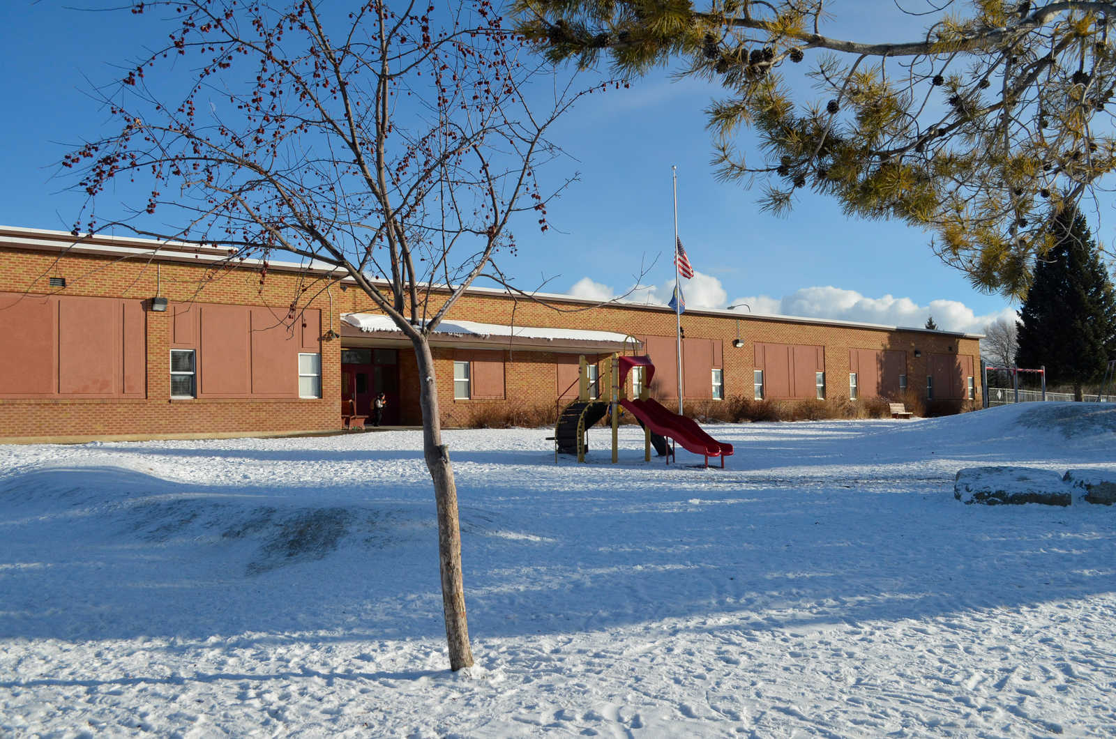 Driggs Elementary